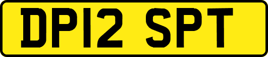 DP12SPT