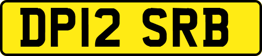 DP12SRB