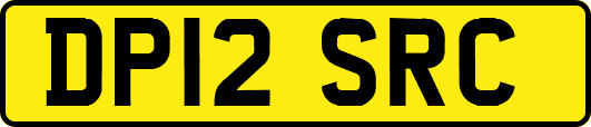DP12SRC
