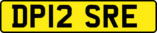 DP12SRE