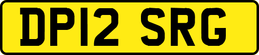 DP12SRG