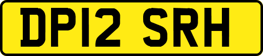 DP12SRH