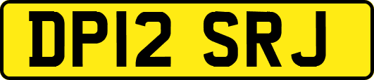 DP12SRJ