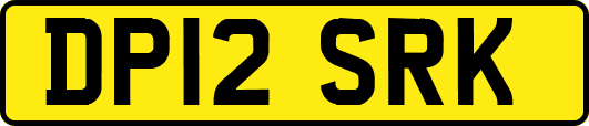 DP12SRK