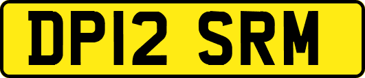 DP12SRM