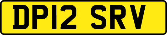 DP12SRV