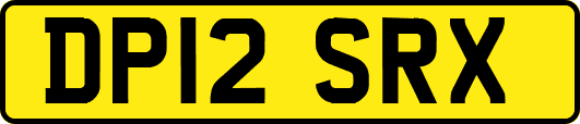 DP12SRX