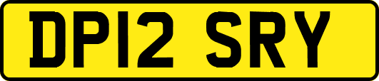 DP12SRY