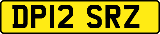 DP12SRZ