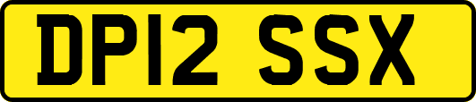 DP12SSX