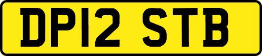 DP12STB
