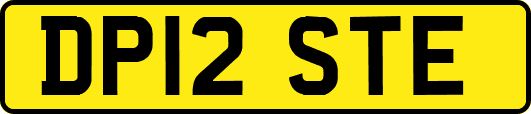 DP12STE