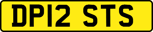 DP12STS