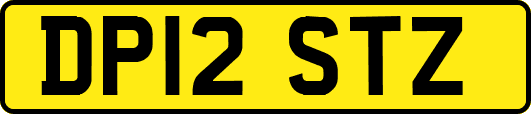 DP12STZ