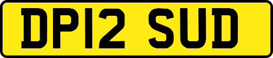 DP12SUD