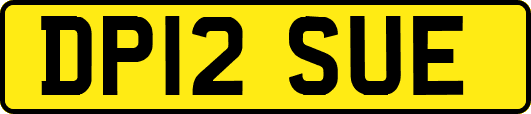 DP12SUE