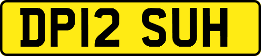 DP12SUH