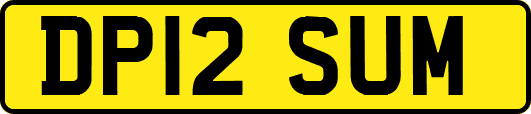 DP12SUM