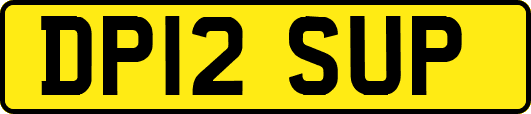 DP12SUP