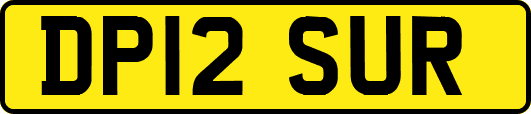 DP12SUR