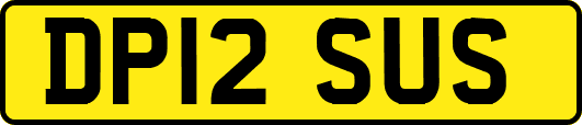 DP12SUS
