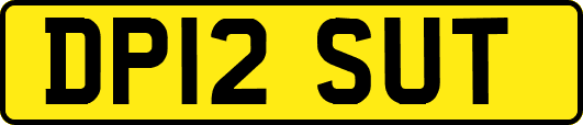 DP12SUT