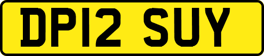 DP12SUY