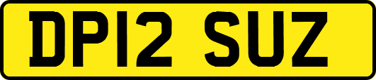 DP12SUZ