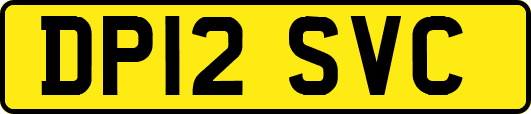 DP12SVC