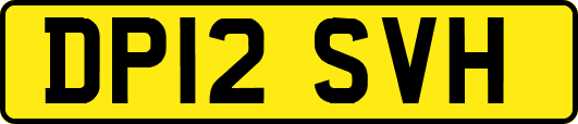 DP12SVH