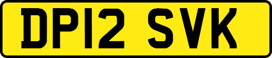 DP12SVK