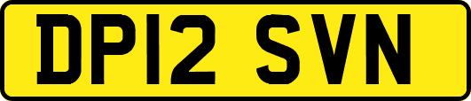 DP12SVN