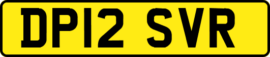 DP12SVR