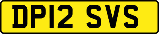 DP12SVS