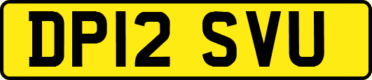 DP12SVU