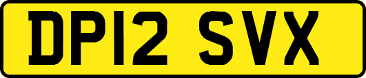 DP12SVX