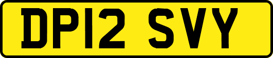 DP12SVY