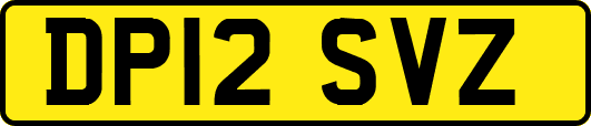 DP12SVZ