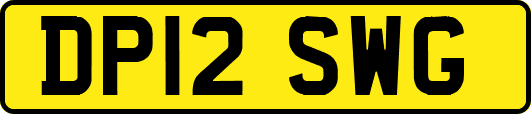 DP12SWG