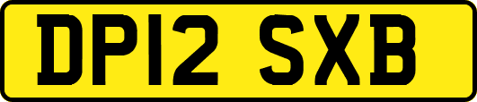 DP12SXB