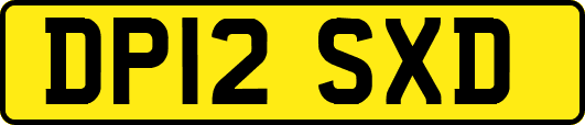 DP12SXD