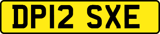 DP12SXE