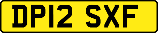 DP12SXF