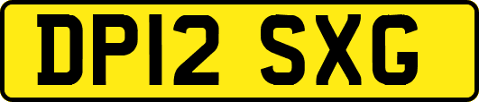 DP12SXG