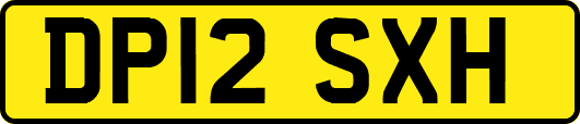 DP12SXH