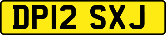DP12SXJ