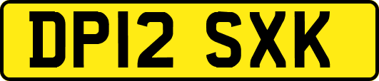 DP12SXK