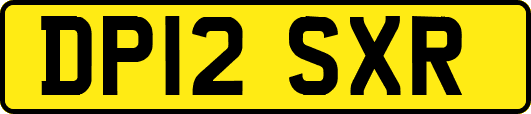 DP12SXR