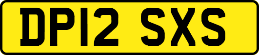 DP12SXS