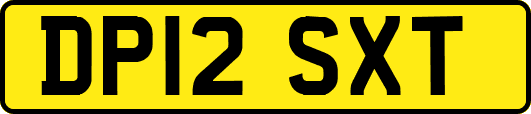 DP12SXT